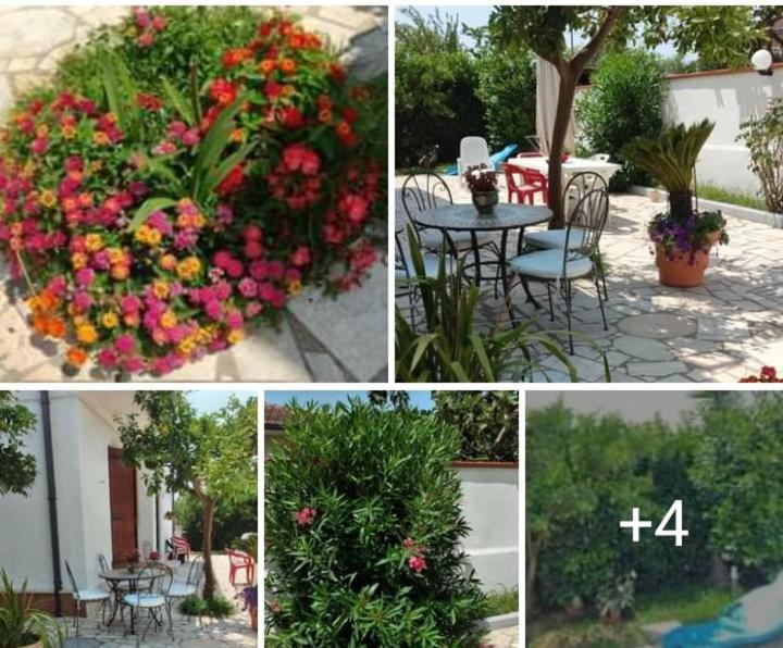 Villa Dafne Mare Fondi Sperlonga Exterior foto
